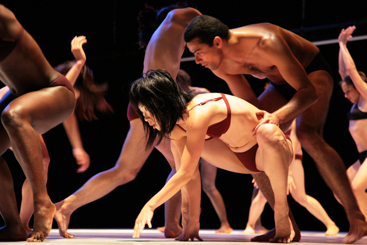 <br>Un Champ de Forces ©Milena Skriabine<br />
<br />
<br>